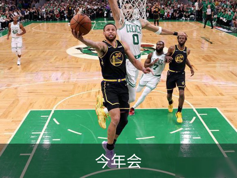 今年会介绍
